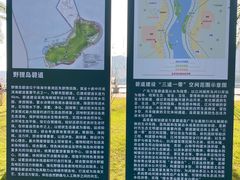-野狸岛