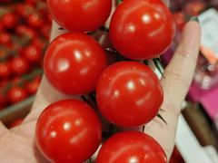 -AEON永旺(东方宝泰店)