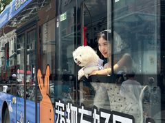 -帕帕拉兹宠物(亚洲旗舰店)