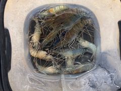 -DGE季风钓虾营地·团建·聚会