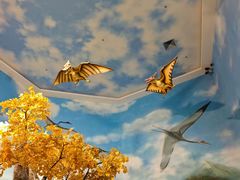 -安徽省地质博物馆