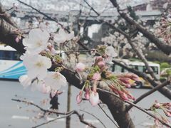 -上海南浦大桥长途旅游客运站
