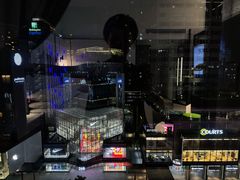 -新加坡乌节希尔顿酒店 (SG Clean)
