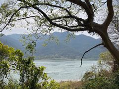 -羚羊峡古栈道森林公园