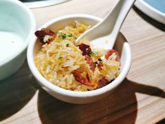 -探窝·竹笙椰子鸡(杨箕店)