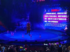 -广州长隆国际大马戏