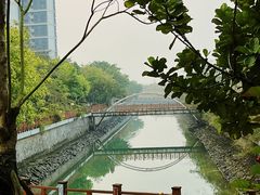 -碧桂园十里银滩