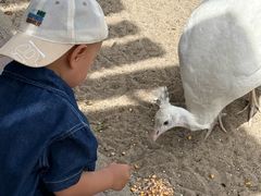 -水上乐园·欢乐世界