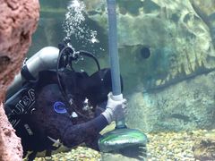 -珠海长隆海洋王国