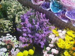 -大洋晶典(东街店)