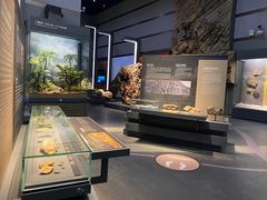 -浙江自然博物院(杭州馆)