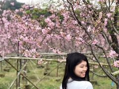 -红山村