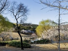 -北京西山国家森林公园