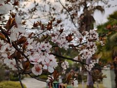 -宁波九龙湖开元度假村