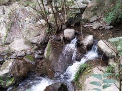 -藏龙百瀑风景区