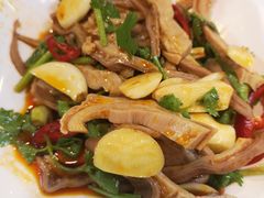 响油肚丝-台北楚楚园馅饼粥(虹桥南丰城店)