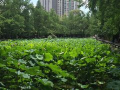 -四川大学(华西校区)