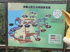 -西霞口神雕山野生动物世界