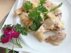 白切文昌鸡-墨脱石锅椰子鸡•香草鸭•东山羊(大东海店)