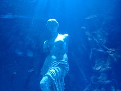 -太平洋海底世界