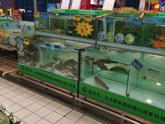 -世纪联华超市(浦电路店)