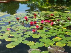 -国家植物园南园