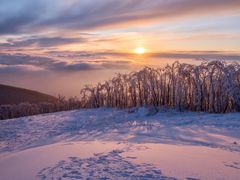 -中旅松花湖滑雪场