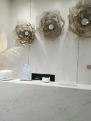 -YESIDO椰岛造型