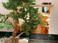 -十二粤味·顺德菜·烧鹅点心(五四广场店)