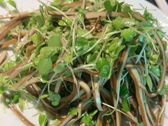 -向川南·水煮鱼·川菜(和平里店)