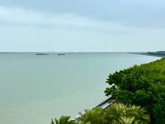 -大湾区中央湿地公园