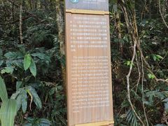 -普洱太阳河森林公园