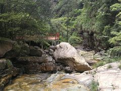 -祁门牯牛降观音堂风景区