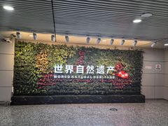 -张家界荷花国际机场