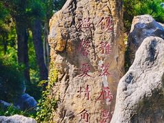 -东湖落雁景区