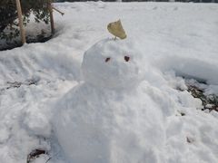 -北海道厅旧本厅舍(旧本庁舎)