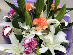 -沪花拾者(好再来花卉鲜花店)