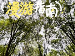 -南长河公园