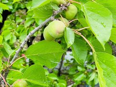 -野三坡清泉山风景区