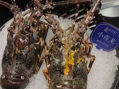 -海月轩海鲜豆捞(紫金塔店)