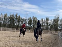 -北京群众马术培训基地