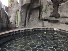 -兴芮温泉度假区