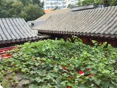 -顺承小院儿