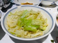 小白菜-壹盏灯(惠农店)
