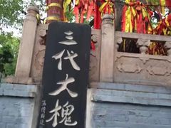 -大槐树寻根祭祖园
