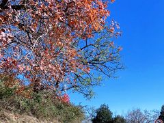场地-鬼笑石后山停车场
