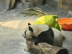 -青藏高原野生动物园