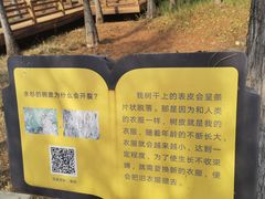 -凤凰沟景区
