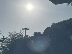 -重庆海昌加勒比海水世界