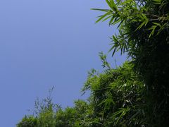 -华姐鸡粉(中心店)